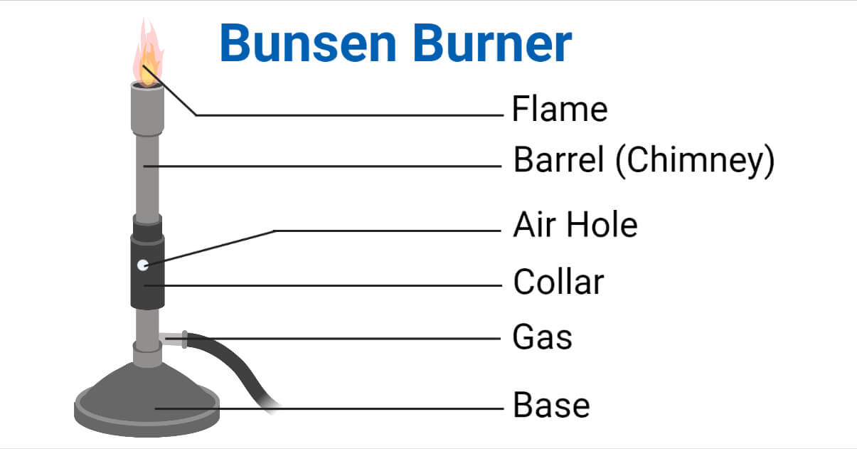 Bunsen Burner- Principle, Parts, Types, Procedure, Uses
