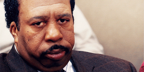 Stanley-Has-a-Serious-Stare-And-Is-Not-Impressed-On-The-Office.gif