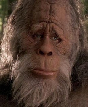 Harry-and-the-Hendersons.jpg