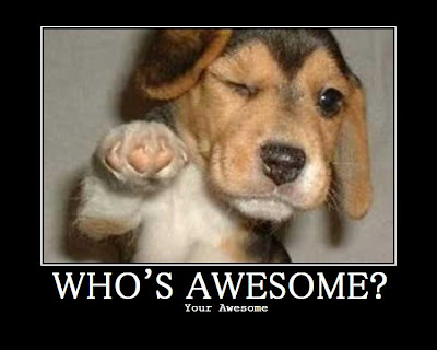 Whos-Awesome_Dog.jpg