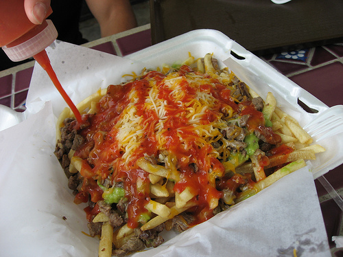 california-carne-asada-fries-food-fries-hot-sauce-mexican-Favim.com-100095.jpg