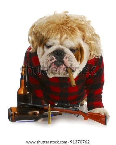 stock-photo-redneck-dog-english-bulldog-redneck-smoking-cigar-and-sitting-beside-gun-and-beer-bottles-91370762.jpg
