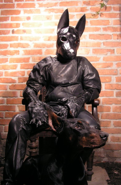 dog-suit-4.jpg