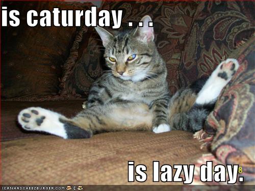 caturday-lazyday.jpg