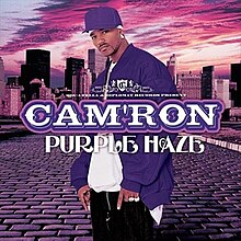220px-Cam'ron_-_Purple_Haze.jpg
