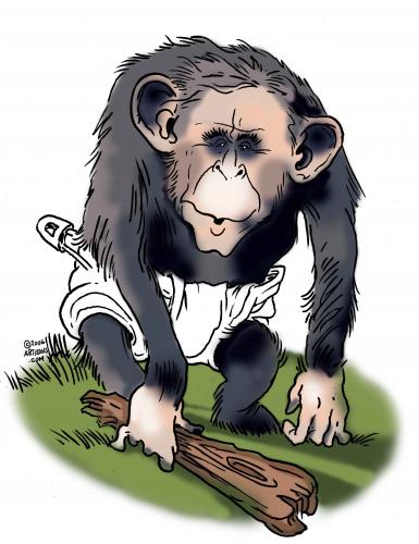 bush_chimp_331845.jpg