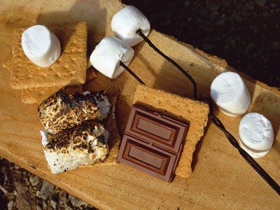everything-about-smores-1.jpg