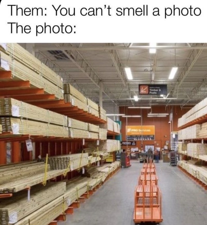 funny-meme-that-reads-them-you-cant-smell-a-photo-the-photo-above-a-photo-of-an-aisle-at-home-depot