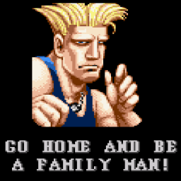 guile-go-home-and-be-a-family-man-5751_preview.png