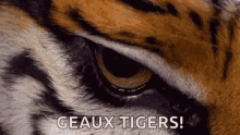 geaux-tigers.gif