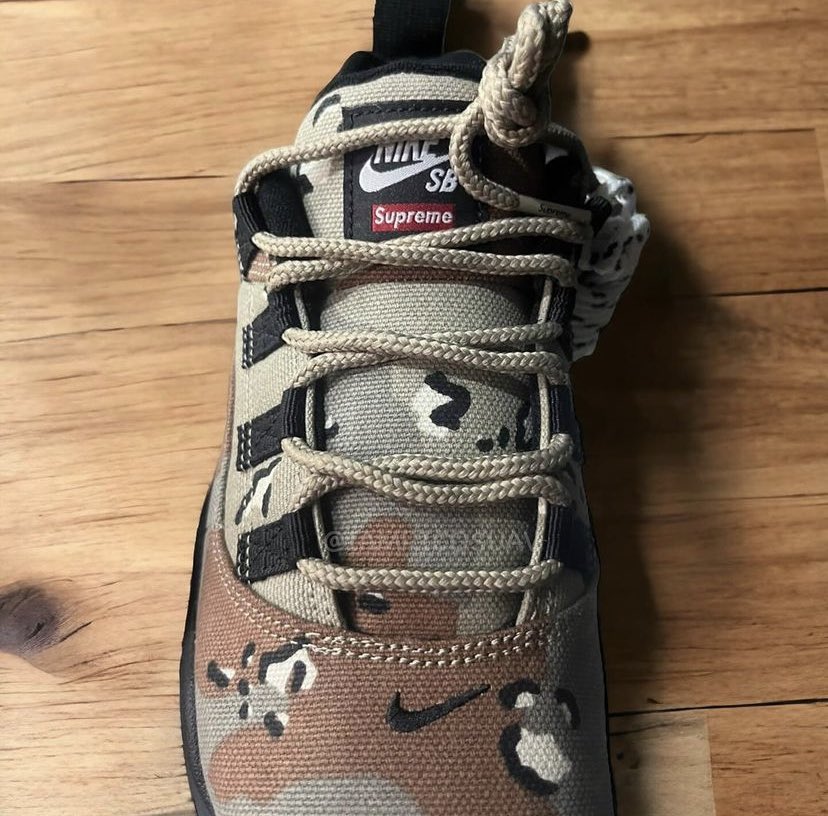 Supreme-Nike-SB-Darwin-Low-Camo-FQ3000-200-1.jpg